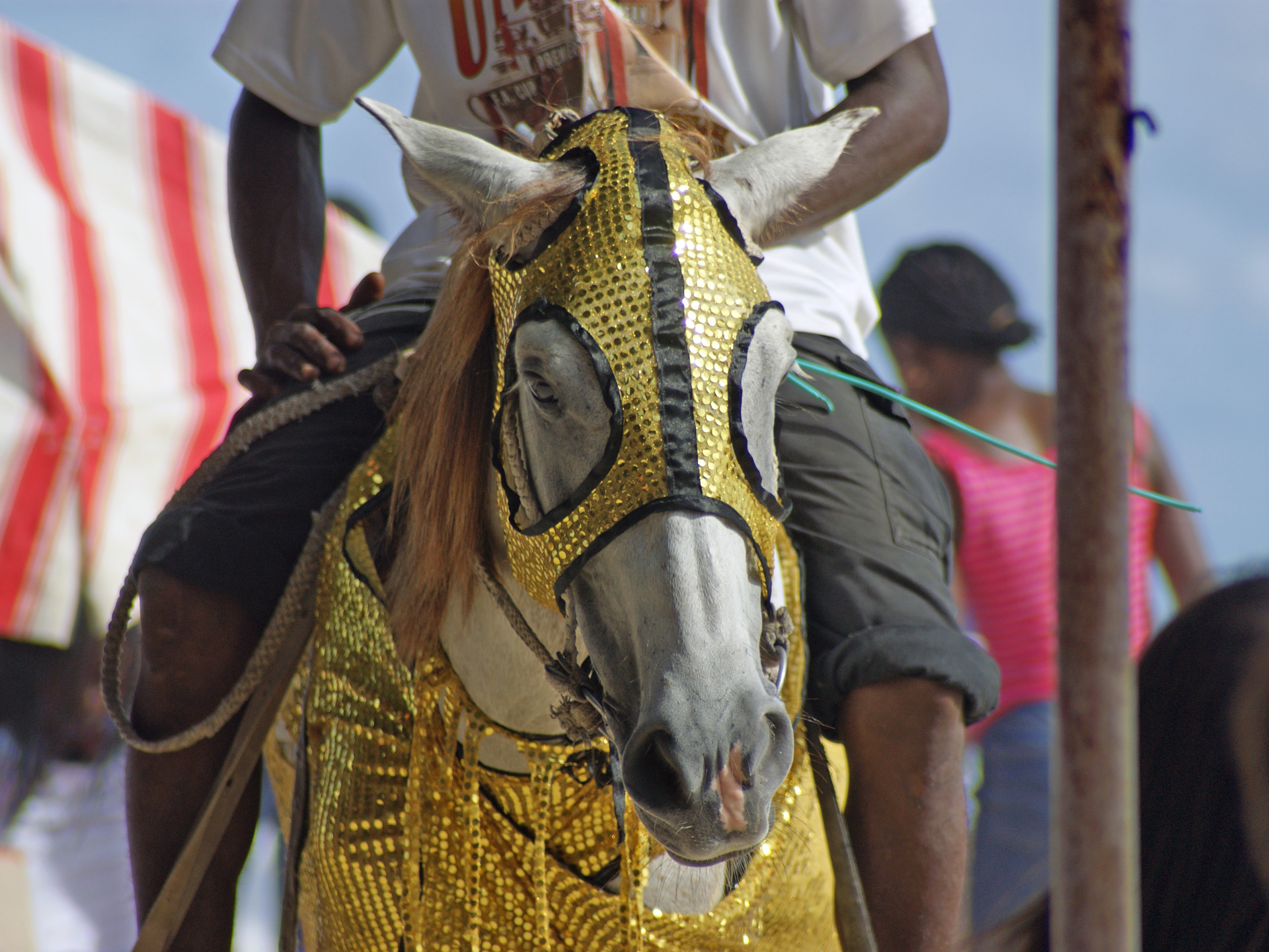 Ghana - Horse at Labadi Beach, Accra (c) Remo Kurka