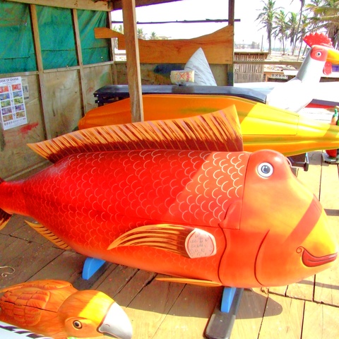 Fish Coffin (c) Remo Kurka